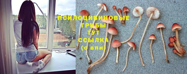 ALPHA PVP Армянск