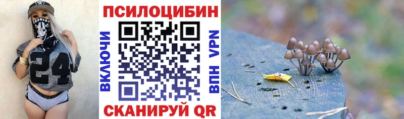 блэк спрут как войти  Дорогобуж  Галлюциногенные грибы ЛСД 