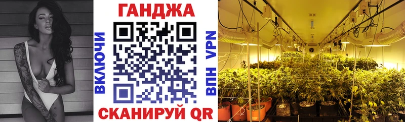 наркотики  Дорогобуж  Каннабис SATIVA & INDICA 